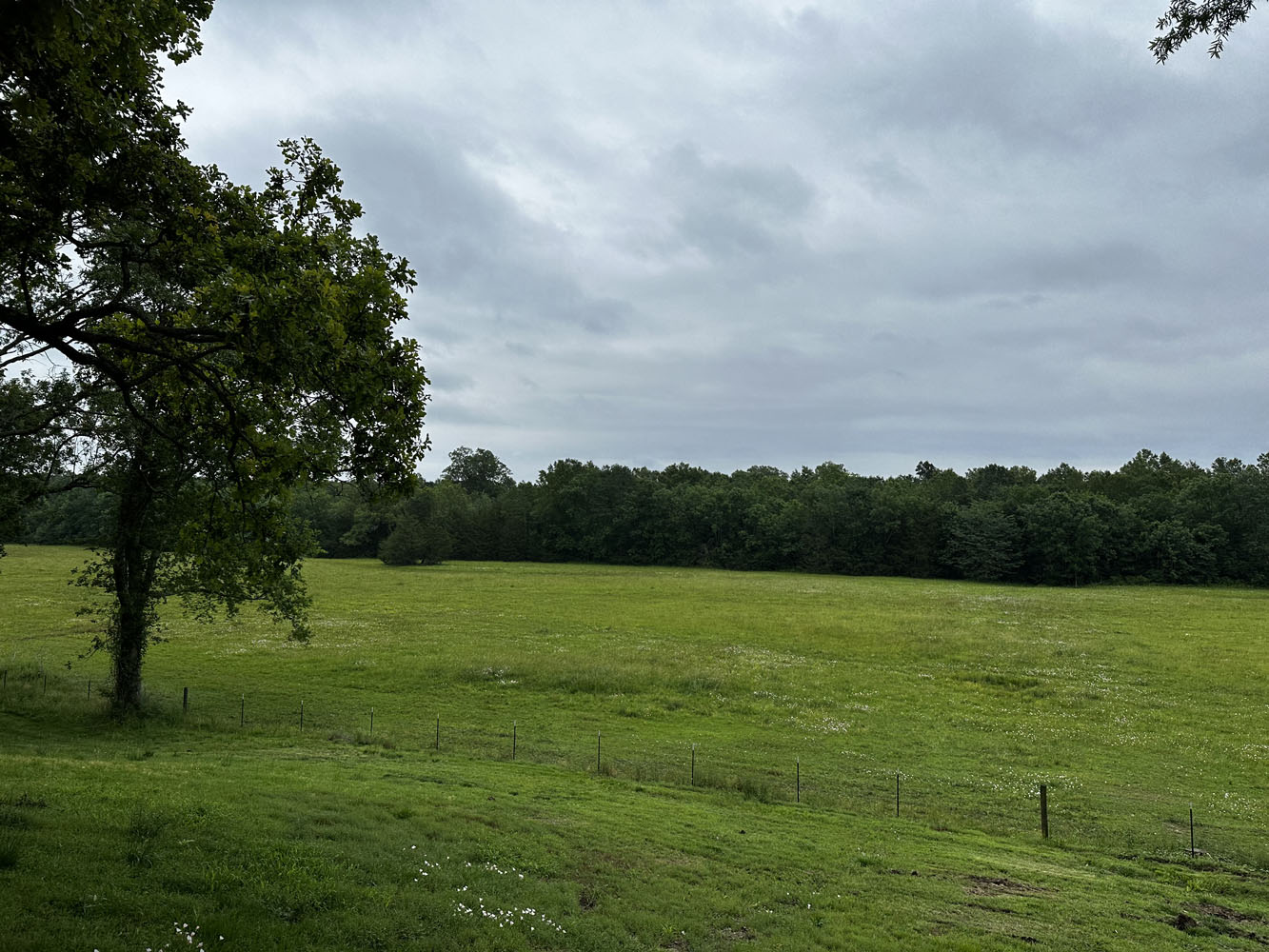 Sumter Farm Pasture