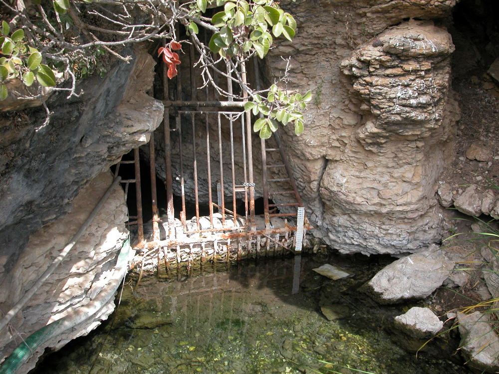 W. H. Cross Collecting Expedition 2006 West Texas 23 June-2 July 2006 ...