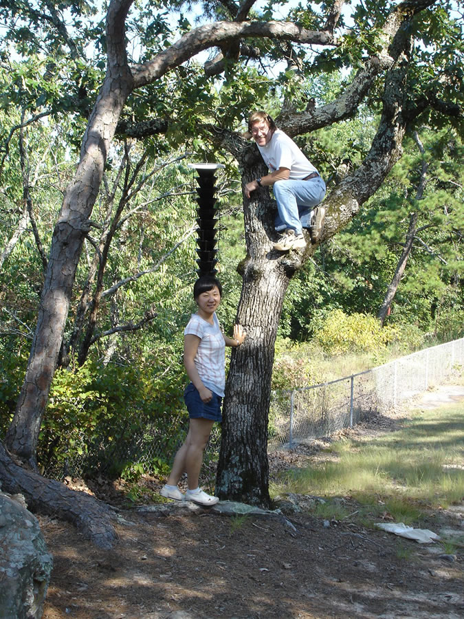 Terry hanging Lindgren Funnels from a tree