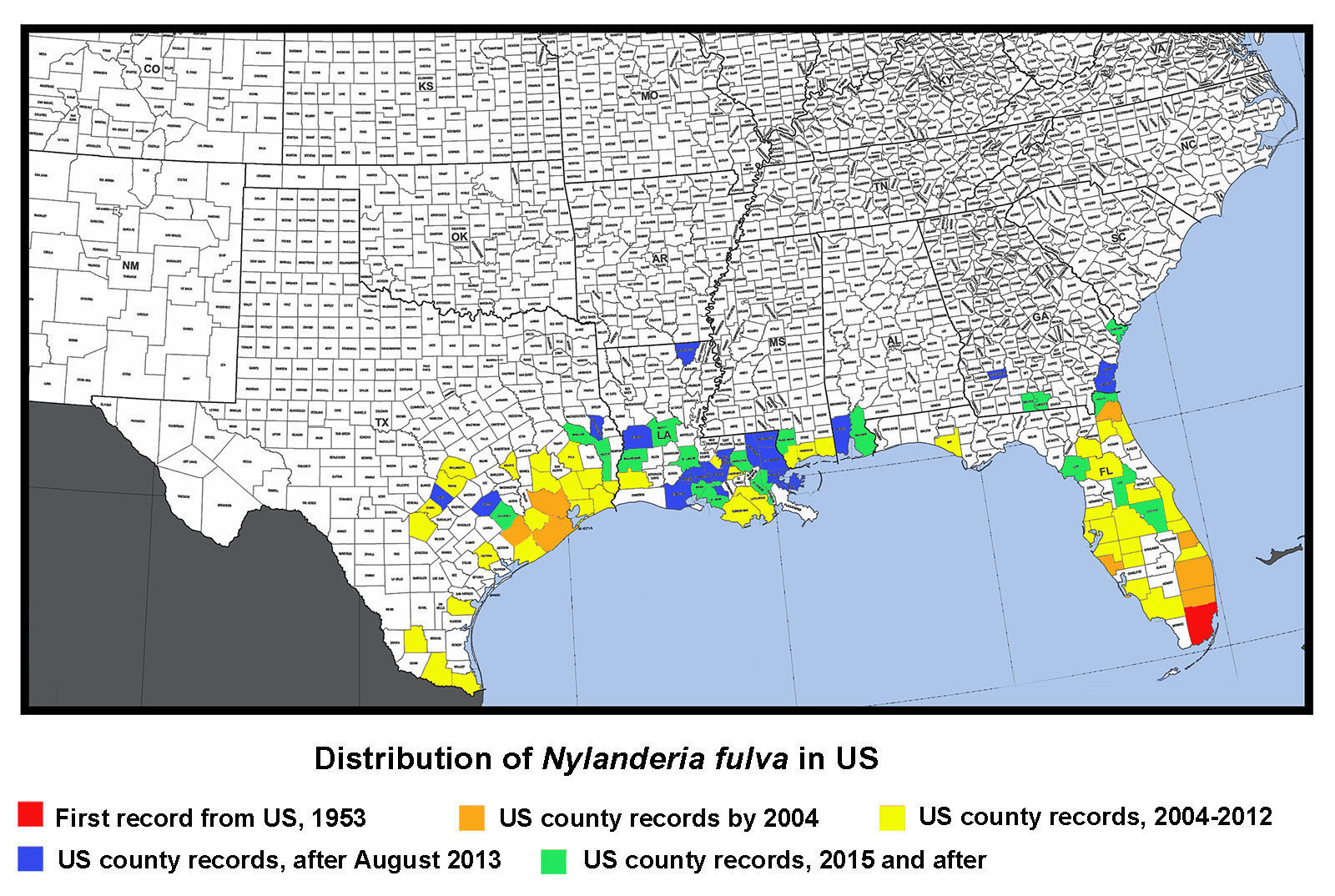 Nylanderia fulva distribution in USA map