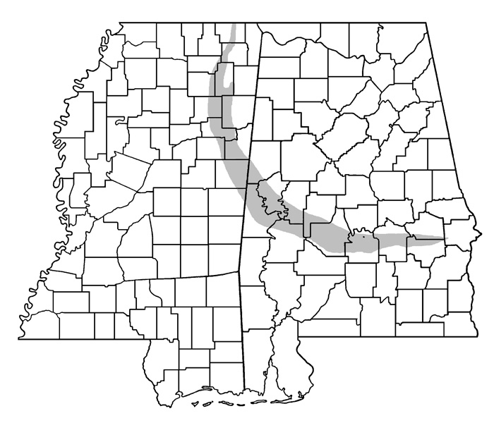 The Black Belt Prairie in Mississippi and Alabama