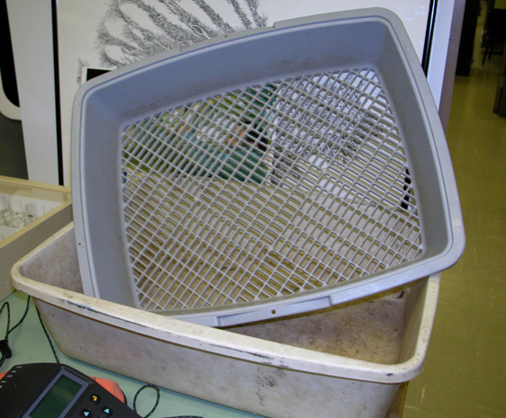 cat litter sifter