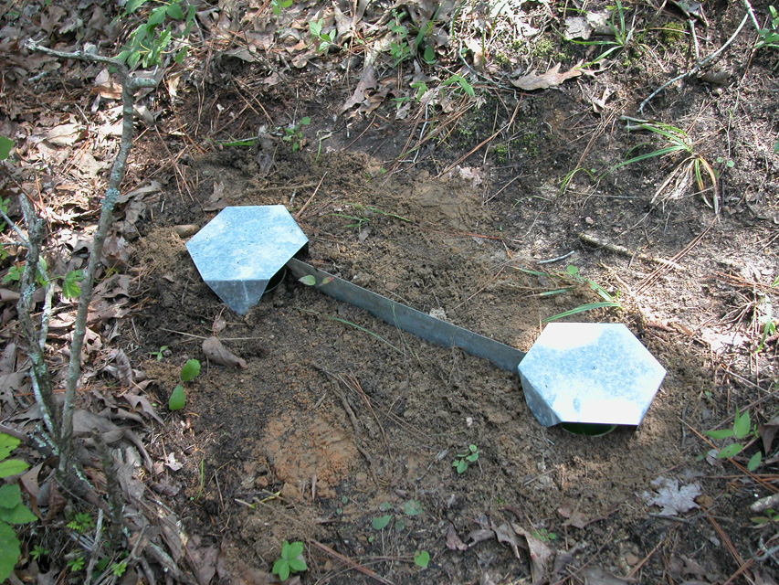 insect pitfall trap image from book