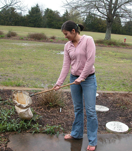 DIY Butterfly and Bug Catching Net